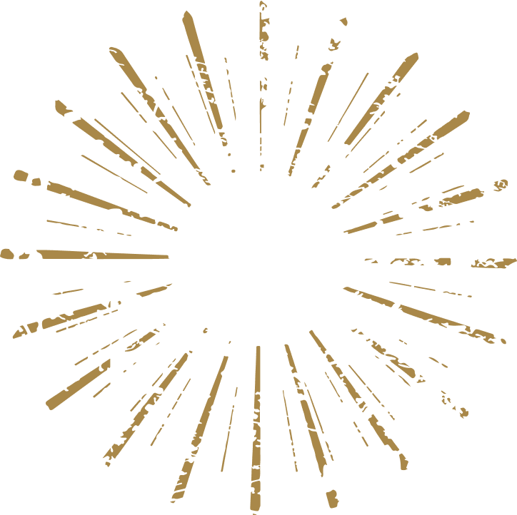 fireworks icon