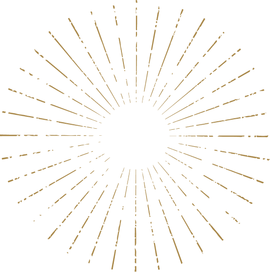 fireworks icon